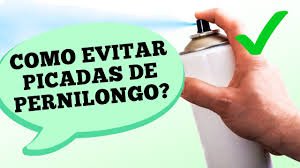 Dr. Ajuda: como evitar picadas de pernilongos post thumbnail image