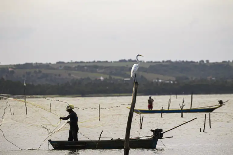 Período de defeso na Bacia Hidrográfica do Rio Paraná termina em 28 de fevereiro post thumbnail image